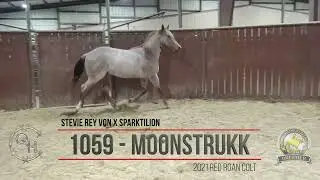 Moonstrukk