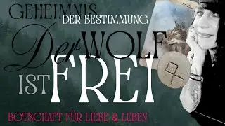 Eine HEFTIGE ERFAHRUNG hat IHN einmal DOWN gehen lassen - JETZT ist er ZURÜCK! #liebe #leben