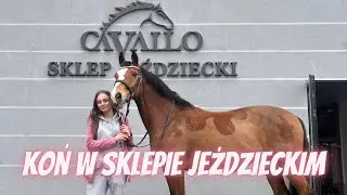 ZABRAŁAM MOJEGO KONIA NA ZAKUPY W SKLEPIE JEŹDZIECKIM CAVALLOSHOP 🙈