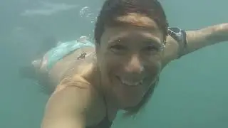 Bat Galim Sea Animals 🌊 בעלי החיים בריף בת גלים