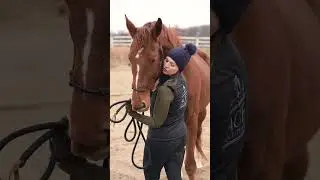 easy photography poses with your horse #horses #equinephotography #horsephotographer #equestrian