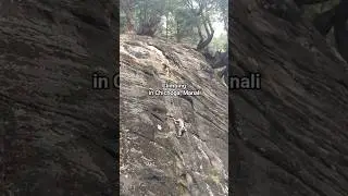 Climbing in Chichoga, Manali #climbing #vishalthakur #multipitch #climbinglovers #climbingrocks