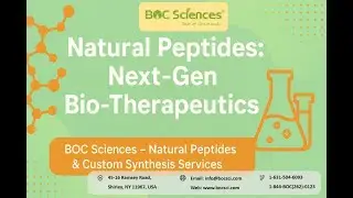 How Natural Peptides Are Shaping Next-Gen Bio-Therapeutics? - BOC Sciences