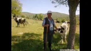 Kocabey Köyü (Sosyokültürel Hayat 2011)