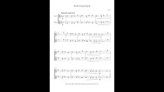 Auld Lang Syne (Flute Duet)