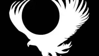 Rise of champions - EagleGuard