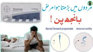 Proviron tablet benefits in Urdu | Mesterolone 25mg tablet uses | Male infertility treatment