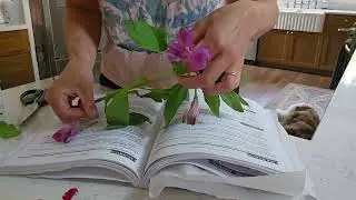 How to press wedding flowers
