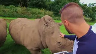 Rhino Encounter at Knowsley Safari