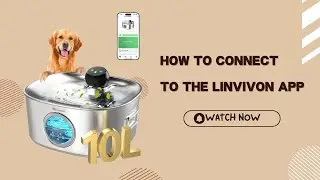 How to Connect the Linvivon Smart Dog Water Fountain to the APP 📱🐶