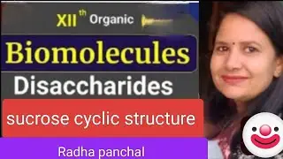 Cyclic structure of sucrose #biomolecules #chemistry #neet