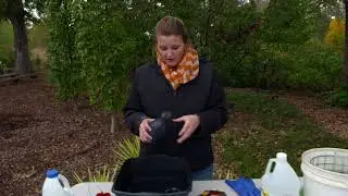 Cleaning Bird Feeders