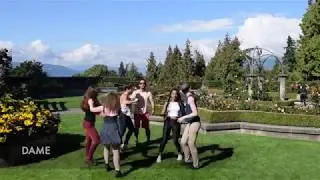 Rose garden #1