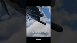 ФАКТ О ЛЕТАЮЩИХ БЛЭППДЖЕКАХ