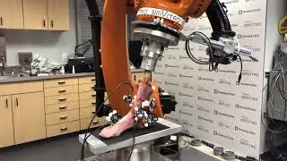 Cleveland Clinic BioRobotics Lab - simVITRO Foot/Ankle Testing