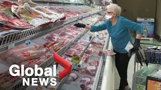 Coronavirus outbreak: Virus may have mutated; fears over rising food prices