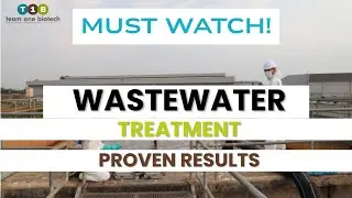 Wastewater Treatment Just Got Smarter! The Power of Bioremediation Explained
