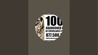 100plusabandoneddogs is live!