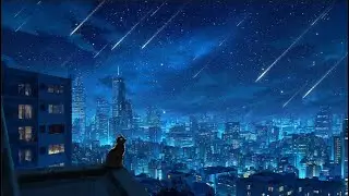 Cat Watching Shooting Stars on the Rooftop 🌠🐾 | Lofi Music for Relaxing