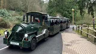 Center Parcs Train 🚂 journey around the pine 🌲 forest 🌳...