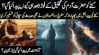 Why Dog Was Created After Prophet Adam as|Kutte Ki Pidaish Kaise Huwi