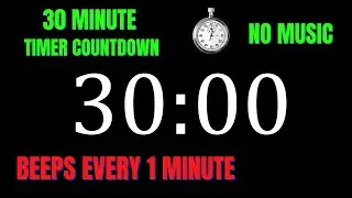 30 Minute Workout Countdown Timer with 1 Minute Interval Beeps | NO MUSIC