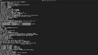 Cisco Codec boot process