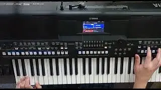 Crowded House Don&acute;t  Dream it&acute;s Over Cover Yamaha PSR sx600