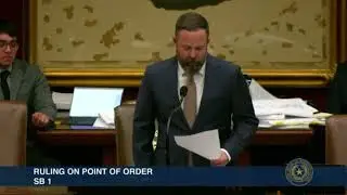 Rep. Briscoe Cain successfully raises a point of order on a  &ldquo;DEI&rdquo; provision in U of H appropriation