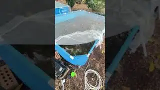 Solar powered water recirculating bio filter 