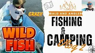 🏕️ Fishing + Travel/Epic Vibes with Bald and Angler! 🌅✨
