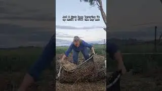 Hay Net Hack: Layering Hay in a Large Knotless Hay Net