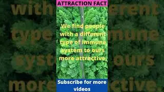 Immune system & attraction-what's the relation? watch the video. #shorts