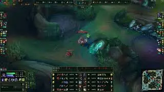 Kayn vs Sylas jg diff ranked