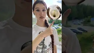 ЛАГЕРЬ, КОТОРЫЙ МЫ ЗАСЛУЖИЛИ