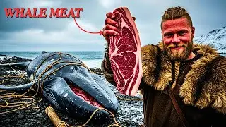 How Vikings Hunted The Biggest Animal on Earth