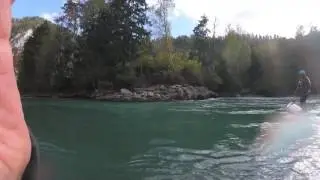 HALA AM VORDERRHEIN