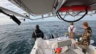 Nonstop Bonito Action!! Fishing Nearshore North Carolina!!