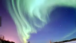 The Southern Lights. Did you know it happens. #facts #wildlife #southernlights