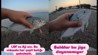 Tral çupra barbun akya ne ararsan hepsi var.Jig ve aji yöntemi ile balık avı.Lrf oyunları.Atçek avı.