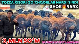AKRAMJON AKA YIRIK QOCHQORLAR NARXINI SINDIRDI PULI ARZON QO’CHQORLAR KELDI