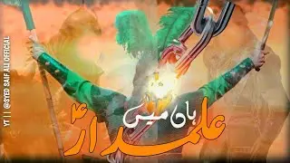 Haa'n Mai'n Alamdar as | Mola Abbas as Whatsapp Status | Mola Abbas ki jang #molaabbas
