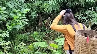A village girl's life alone and harvestingwild vegetables with her best friend