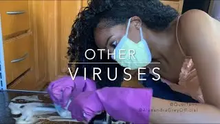 Other Viruses
