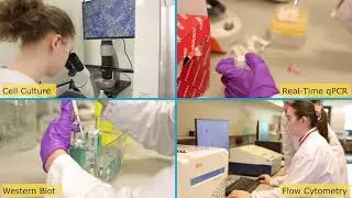 Biomedical Research Lab Summer School Course
