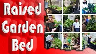 Best Vegepod  Raised Garden Bed  | Self Watering Container Garden Kit