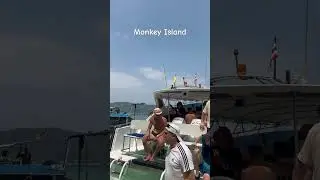 #thailand #phuket #monkey #monkeyisland #beautiful #cute #nature #tour #beach #tourism