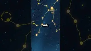 Warum du niemals mit dem Sternzeichen Krebs spielen solltest&hellip; ♋️ #sternzeichen #krebs #shorts