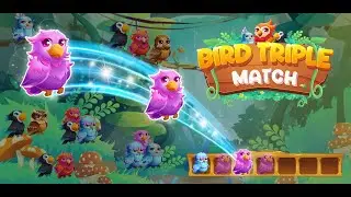 Bird Triple Match | Walkthrough 4