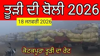 ਤੂੜੀ ਦੀ ਬੋਲੀ ਕੋਟਕਪੂਰਾ | 18 ਜਨਵਰੀ 2026 | ਤੂੜੀ ਦਾ ਰੇਟ | Tudi Rate Kotkapura | Tudi rate Today punjab 